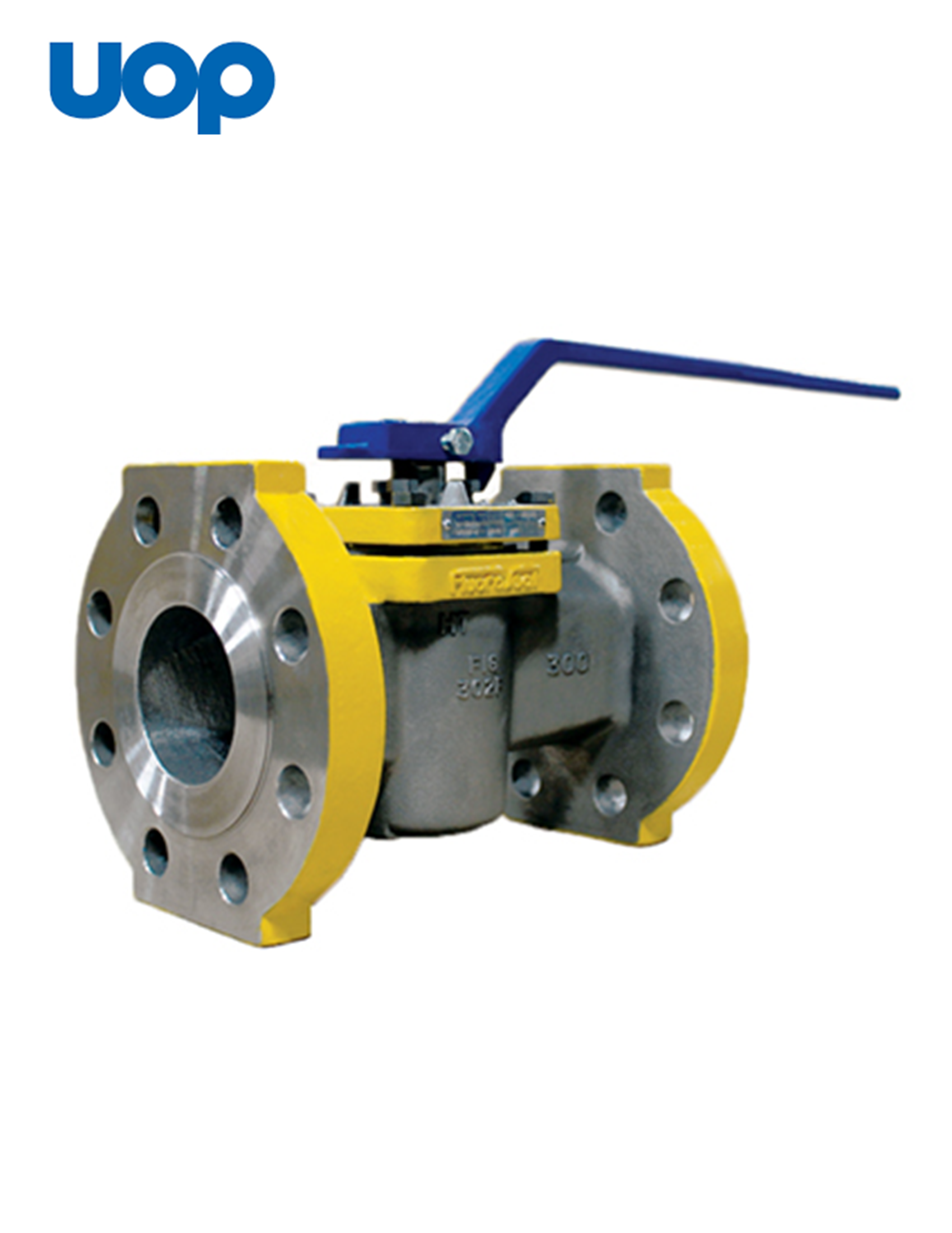 HF Plug Valve