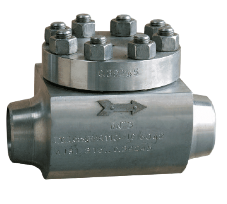 STRACK S70, eendelig gesmeed huis, gesmede geboute kap