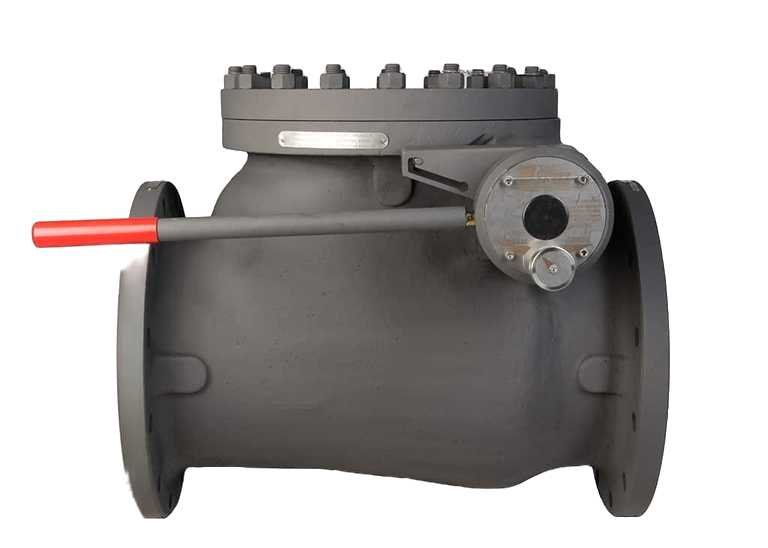 Swing Terugslagklep met handmatige override