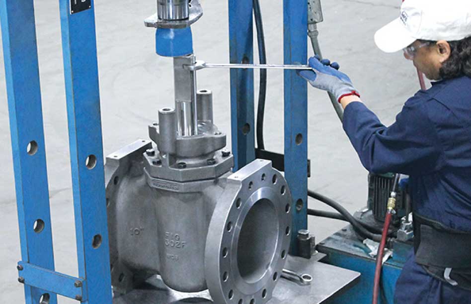 Assembly-Severe-Service-Valve-FluoroSeal