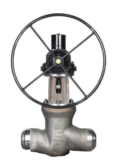 Malbranque Globe Valve Pressure Sealing Bonnet
